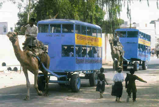 camel bus